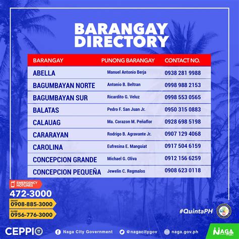 what are the 27 barangays of naga city|City of Naga .
